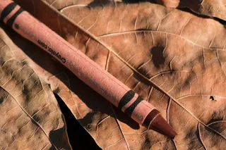 刀具,树,雪茄,木板,刀,棕色迷彩