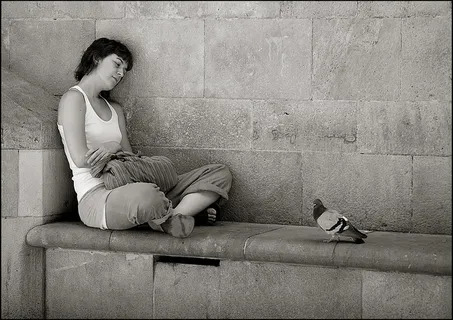 沙发,小狗,工艺品,合照,旗袍,友人