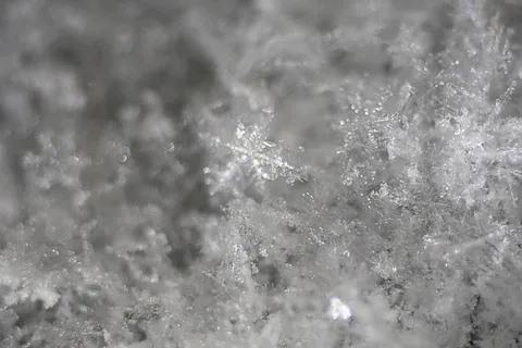 雪 雪
