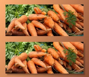 胡萝卜,手,河虾,萝卜,花卉,萝卜 胡萝卜,手,河虾,萝卜,花卉,萝卜