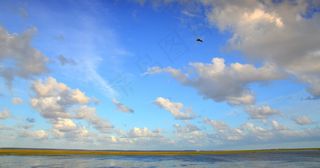 海洋,湖泊,天空,卷积云,草原,巴西南里奥格兰德州塔伊姆