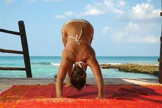 海洋,美女,婚纱写真,罗得西亚猎犬,海狮,完美的地方