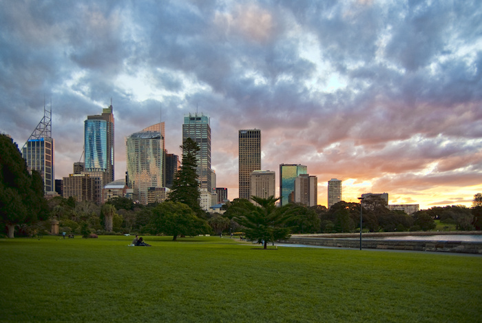 天空,风景,树,草原,历史遗迹,悉尼植物园