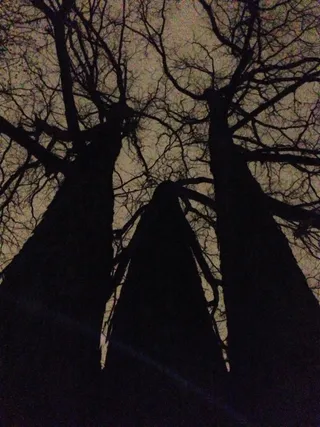 高，同样高和第三。