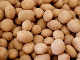 鸡蛋,马铃薯,大豆,龙眼,桂圆干,土豆