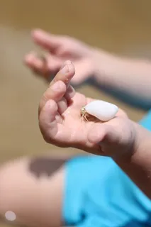 隐士和孩子 隐士和孩子