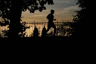 天空,矢量剪影,树,影子舞,晨曦,跑