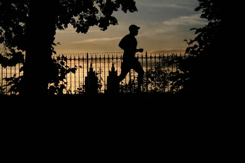 天空,矢量剪影,树,影子舞,晨曦,跑 天空,矢量剪影,树,影子舞,晨曦,跑