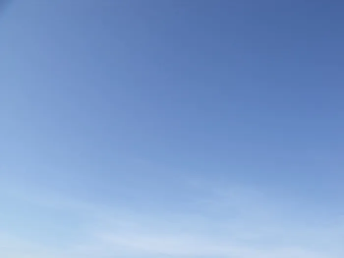 天空,模糊图片,,树,诺福克郡伍德达林的完美清澈的蓝天