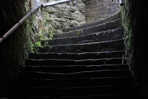 门,自然/人文景观,笼子,中式传统建筑,楼梯,从黑暗中爬