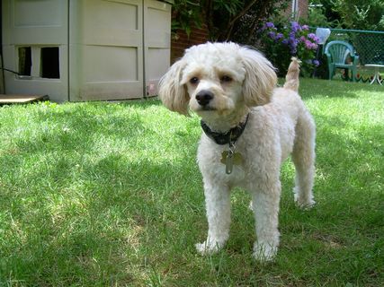 Slider在做什么？