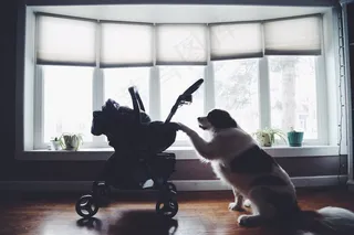 窗户,窗,室内一角,玩具,阳台,摇滚再见宝贝