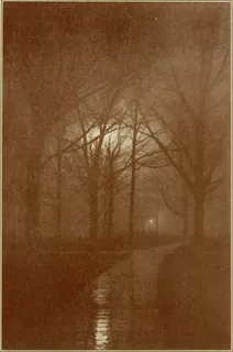 隔热砖,花纹纸,羊皮纸背景,砖石材,木纹,图片来自“乡村和海边的人生诗”（1920年）第14页