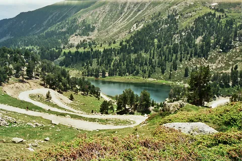 树,风景,草地,山峦,草原,Pilar al Pic de Perafita 树,风景,草地,山峦,草原,Pilar al Pic de Perafita