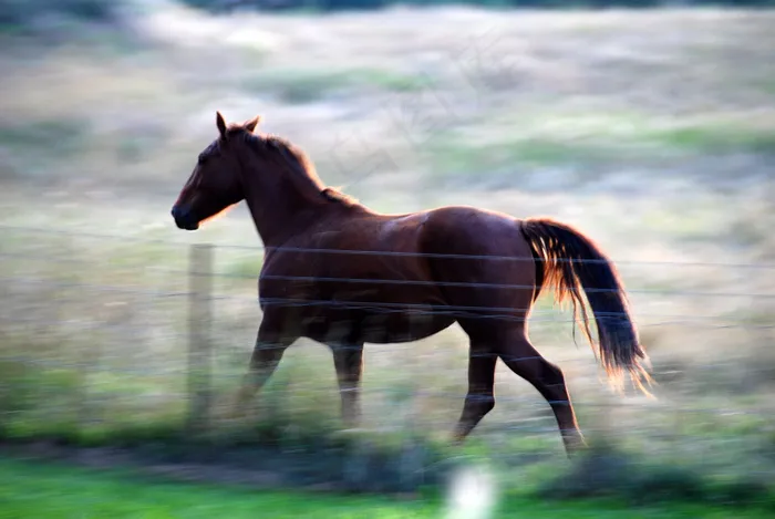 有时，奔跑会使生活变得更好！