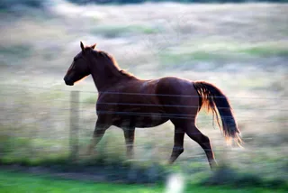 有时，奔跑会使生活变得更好！