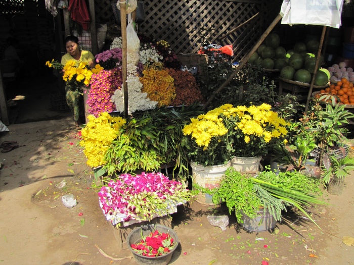 紫露草属,自然公园,花店,花卉业,紫颜色的花,Chauk市场花