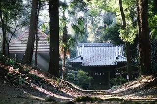 发光的神社