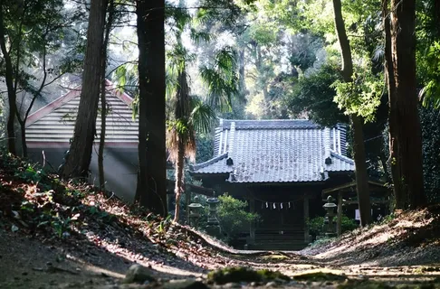 发光的神社 发光的神社