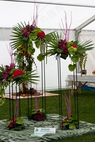 盆栽植物,艺术插花,花卉,插花,棕榈科,插花青铜石展2011