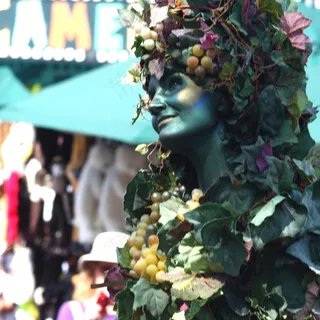 德文植物女士 德文植物女士