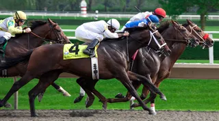 马术,跑马场,军人/警察,赛马,单座二轮马车,查理将军采取行动