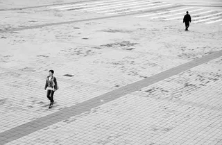 虫子,滑雪图,速降滑雪,高山滑雪,鸟类,分手