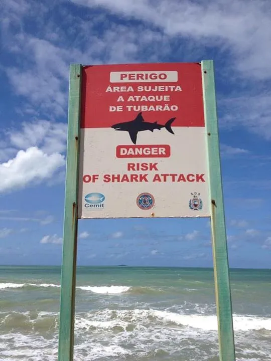 公共设施,指示牌,指路牌,包装袋/盒,窗户,Roseli Serra的鲨鱼袭击