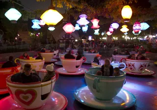 盆栽植物,酒吧,生日蜡烛,餐饮场所,歌舞厅,迪士尼乐园疯狂茶会在晚上