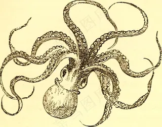 图像素材,工笔画,图画,复古花纹,桌面花纹,图片来自“用于家庭和学校的儿童自然书：旨在帮助母亲和教师培训儿童观察自然的方法”的第139页（1886年）