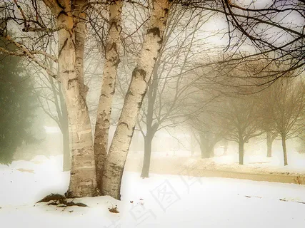 附近有雾的日子