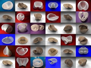 屏幕截图,淡水河蚌,颅内,银元宝,鱼化石,心形变化