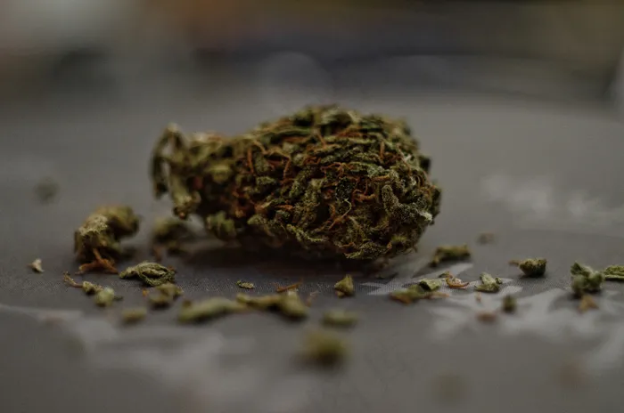 钟角蛙,虫子,螃蟹,东方铃蟾,角蛙,我是吸烟的