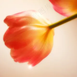 健康是最大的礼物，满足是最大的财富，忠诚是最好的关系...佛