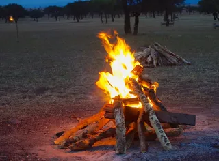 2014年8月，非洲野生动物园-082
