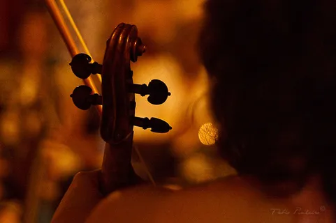 Nesta Noite Voluta Chorou