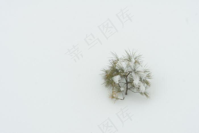 第32/365天。