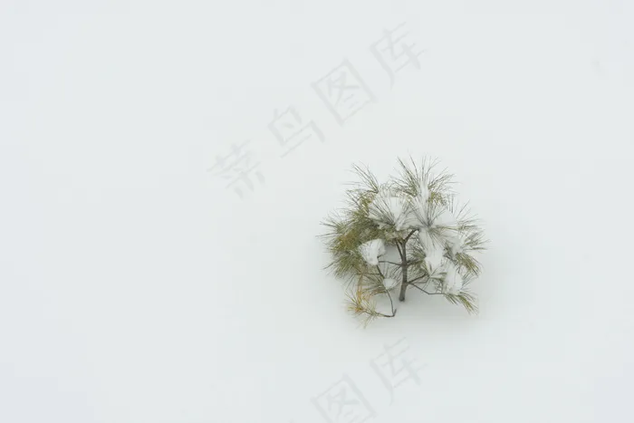 第32/365天。
