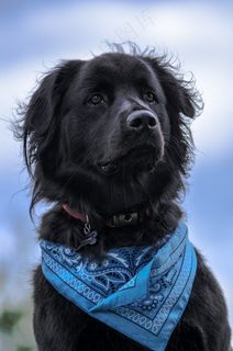 霍普金斯-Hero Shot.jpg