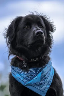 霍普金斯-Hero Shot.jpg