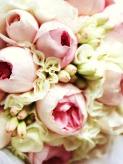 花卉,新娘捧花,婚庆用花,手捧花,玫瑰花,新篇章