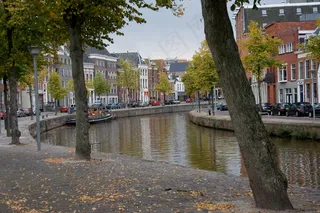 树,街道,江河,村道,民居,格罗宁根的秋天