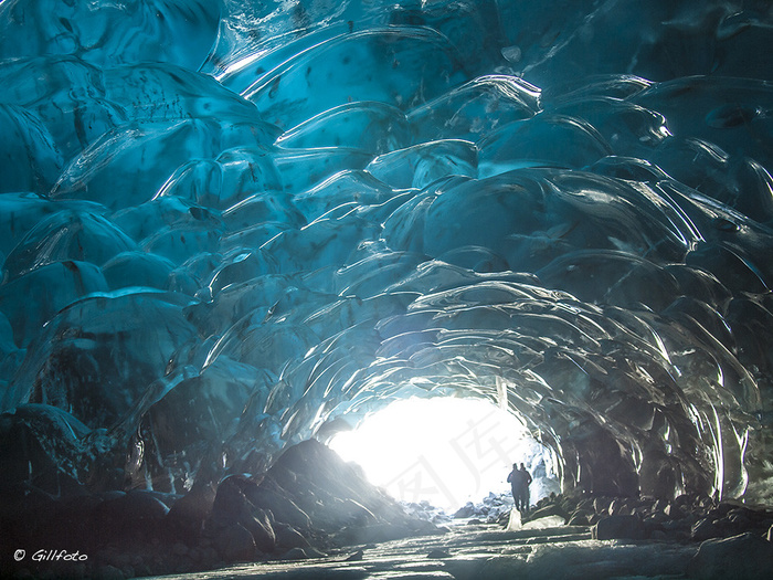海洋,梭鱼类,鲑鱼,沙丁鱼,大梭鱼,冰洞Col14B 247
