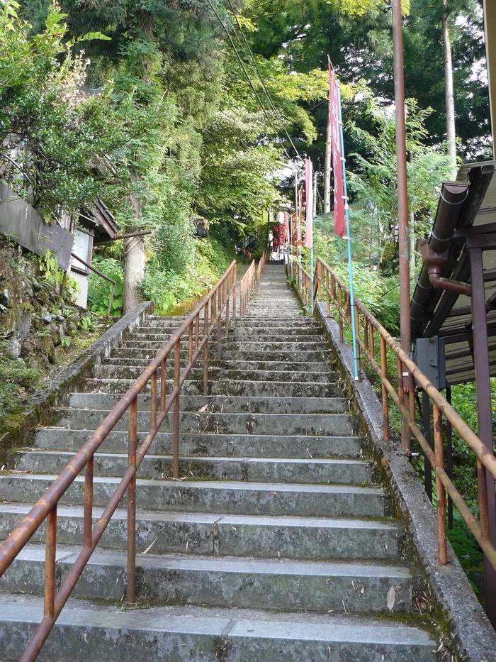 夏山科学交流员研讨会