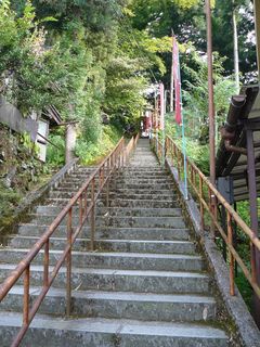 夏山科学交流员研讨会