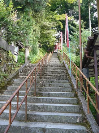 夏山科学交流员研讨会