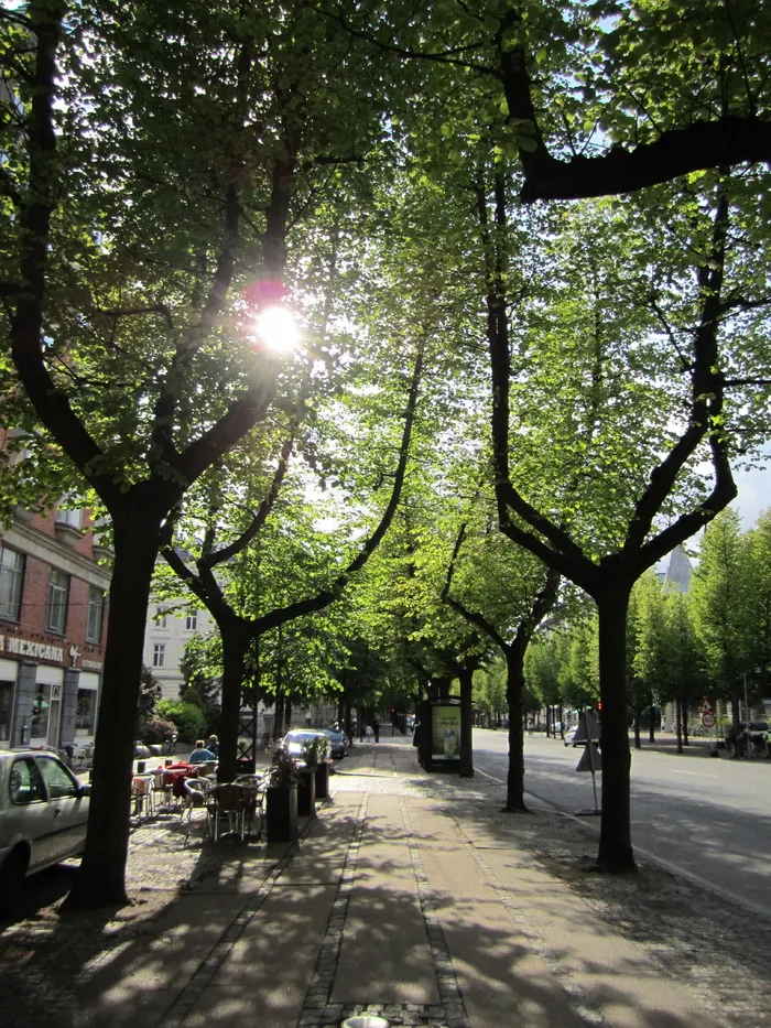 步行，腓特烈堡大街