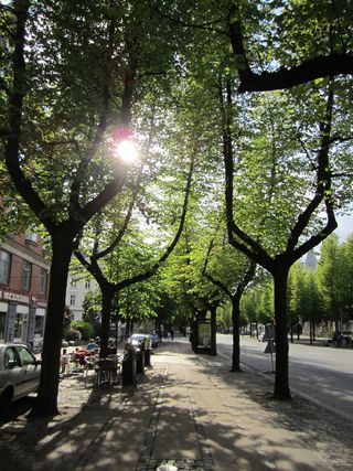 步行，腓特烈堡大街