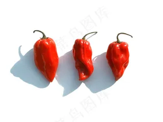 三个辣椒