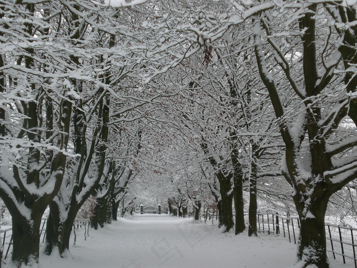 雪2